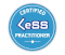 Certified LeSS Practitioner